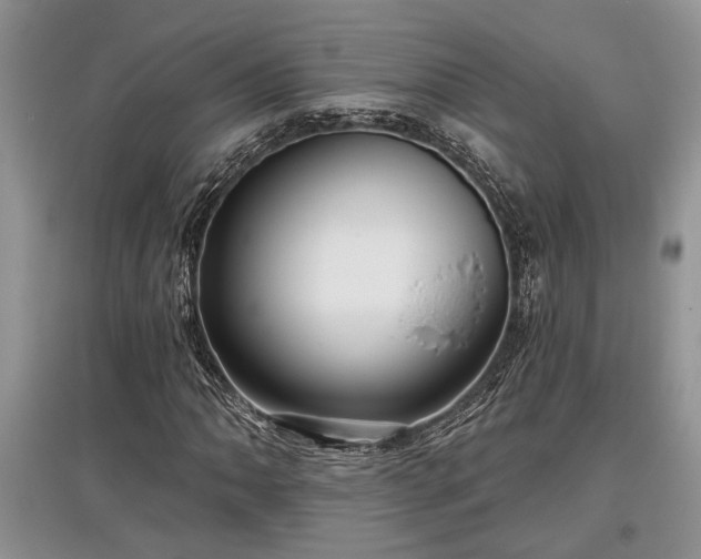 X0000097611062200803071445