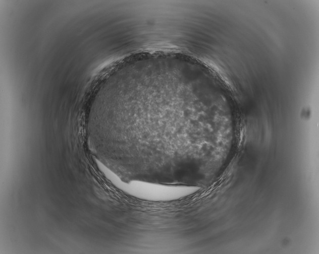 X0000097611063200803071445