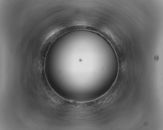 X0000097611064200803071445