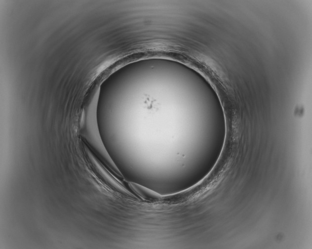 X0000097611065200803071445