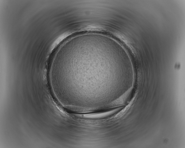 X0000097611066200803071445