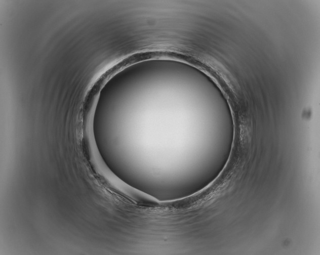 X0000097611069200803071445