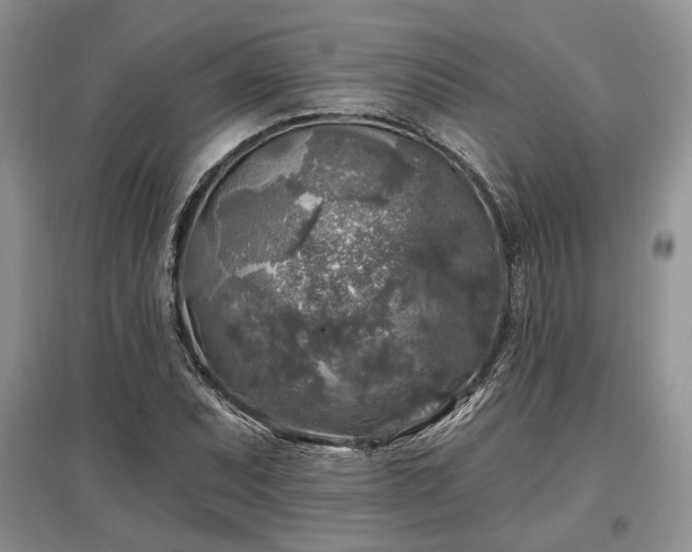 X0000097611071200803071445