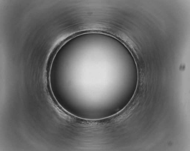 X0000097611072200803071445