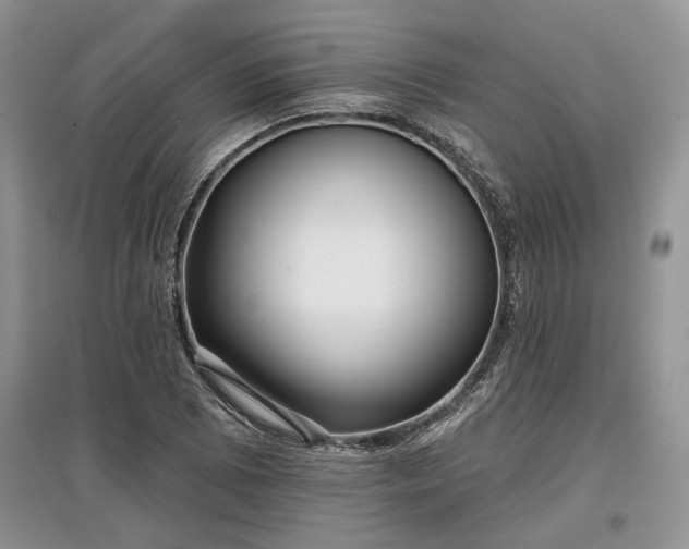 X0000097611073200803071445