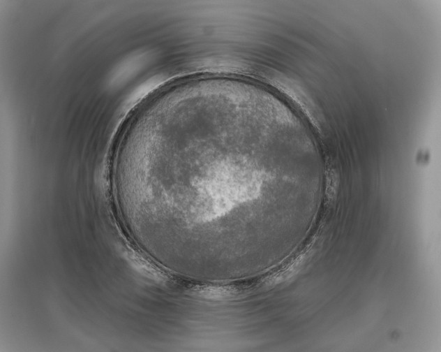 X0000097611074200803071445