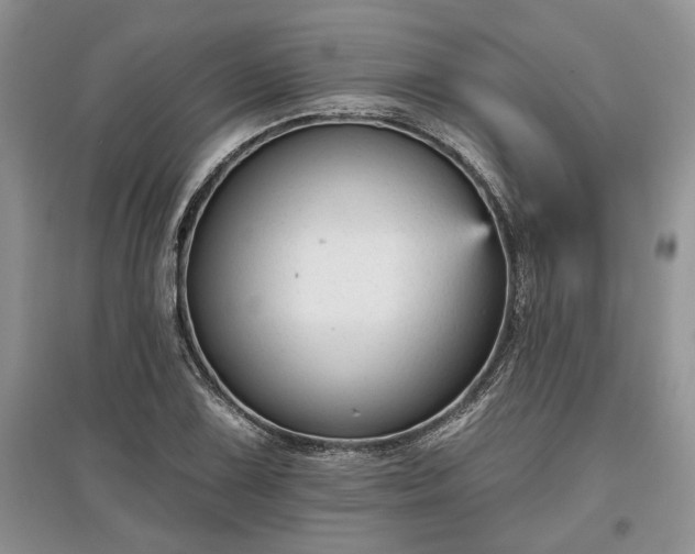 X0000097611075200803071445