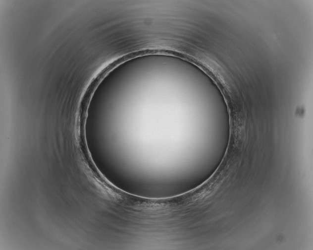 X0000097611076200803071445