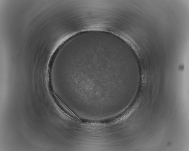 X0000097611077200803071445