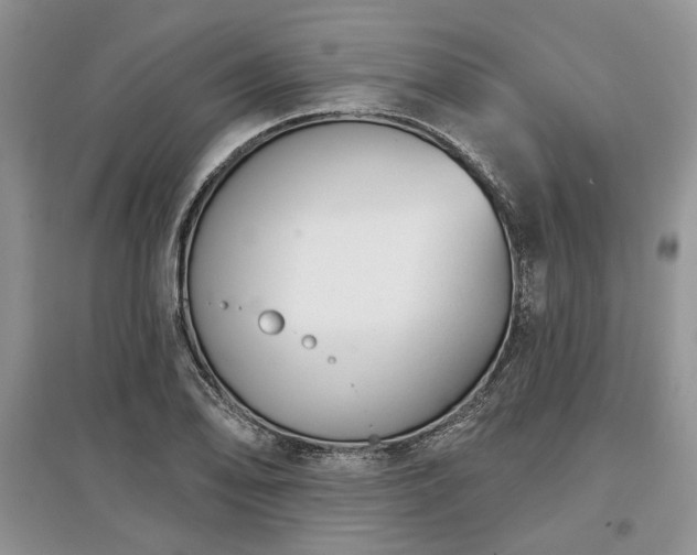 X0000097611078200803071445