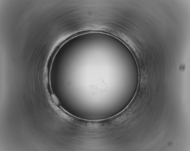 X0000097611080200803071445