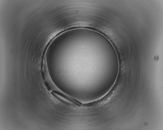 X0000097611081200803071445