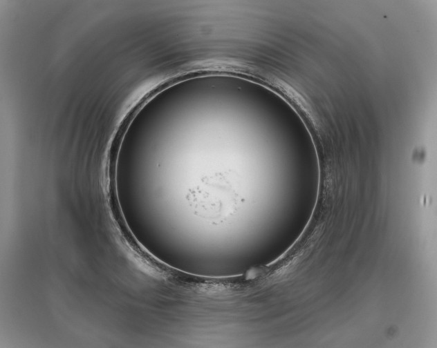 X0000097611082200803071445
