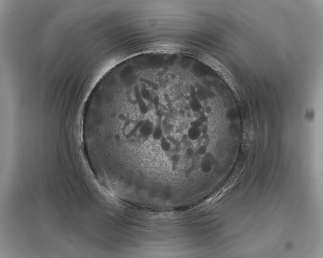 X0000097611083200803071445