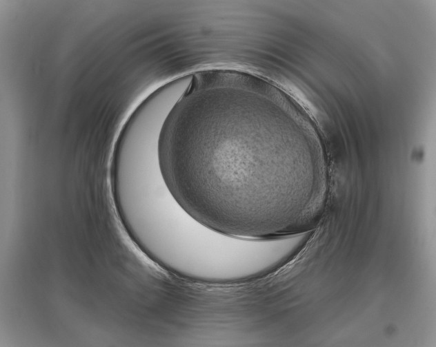 X0000097611084200803071445