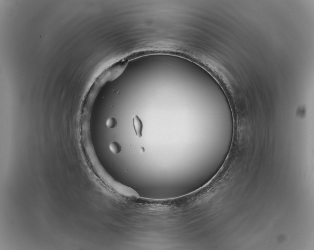 X0000097611085200803071445