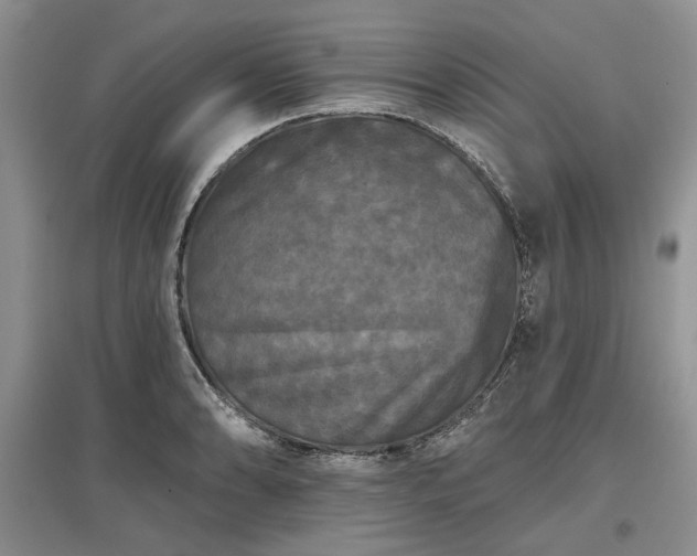 X0000097611086200803071445