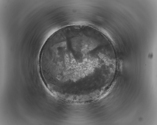 X0000097611087200803071445