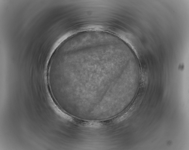 X0000097611090200803071445
