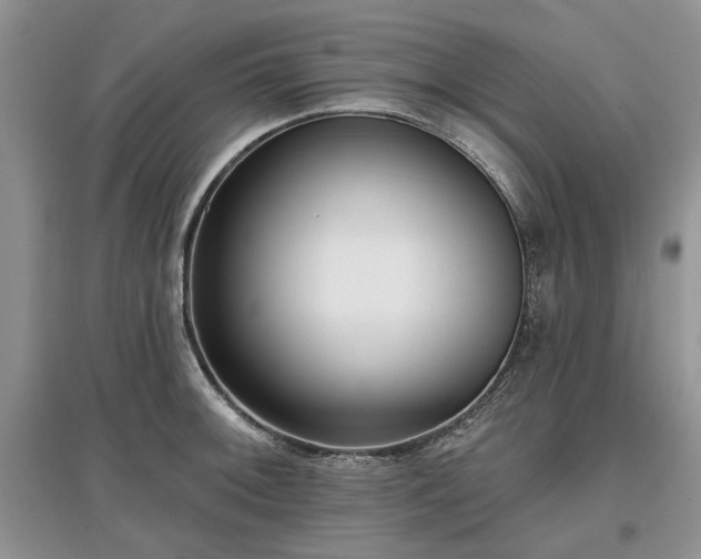 X0000097611092200803071445