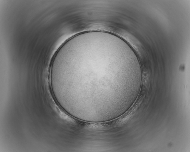 X0000097611094200803071445