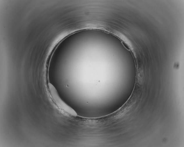 X0000097611096200803071445