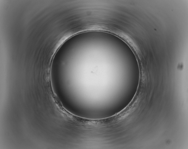 X0000097611097200803071445