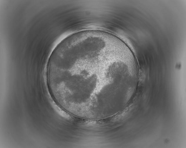 X0000097611098200803071445