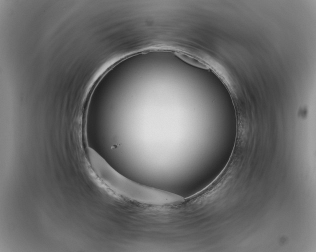 X0000097611100200803071445