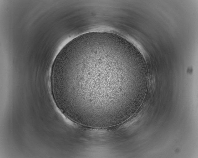 X0000097611103200803071444