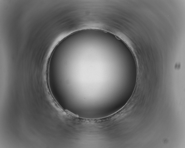 X0000097611104200803071444