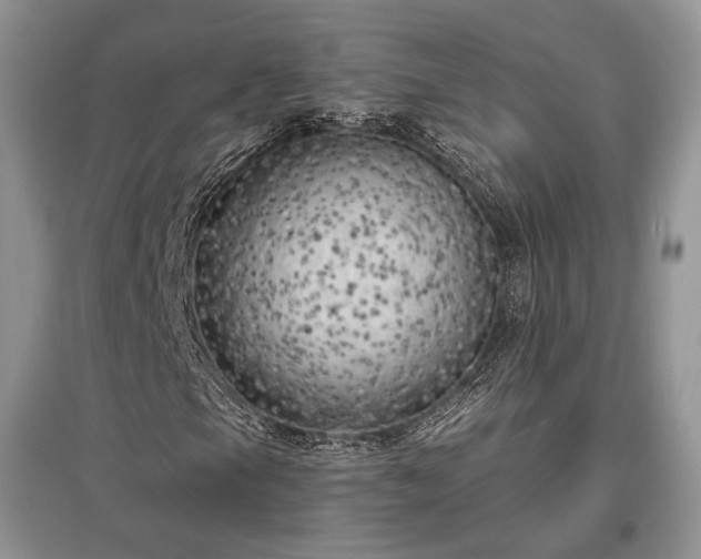 X0000097611105200803071444