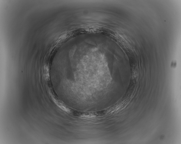 X0000097611106200803071444