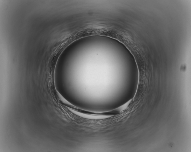 X0000097611109200803071444