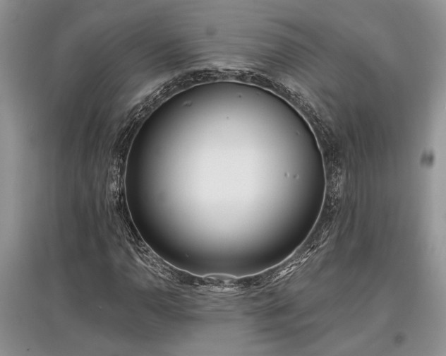 X0000097611110200803071444