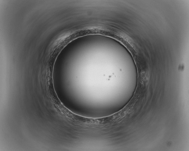 X0000097611111200803071444