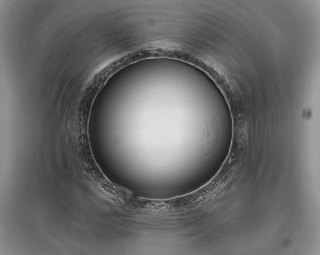 X0000097611112200803071444