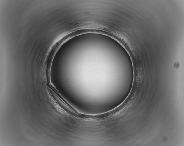 X0000097611114200803071444