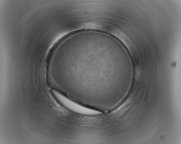 X0000097611115200803071444