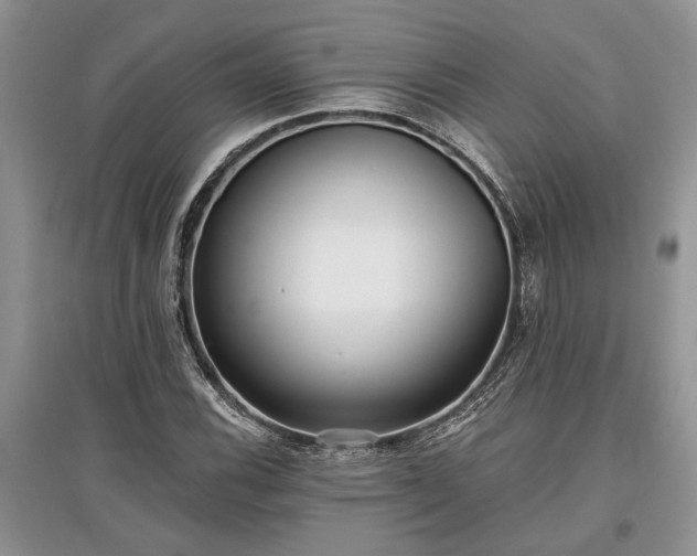 X0000097611116200803071444