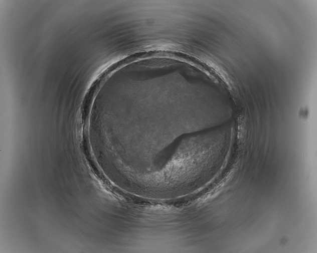 X0000097611117200803071444
