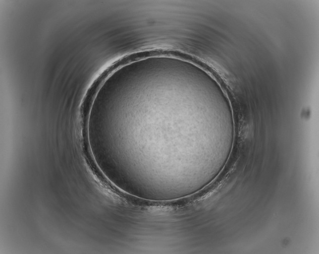 X0000097611118200803071444