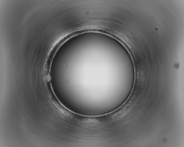 X0000097611119200803071444