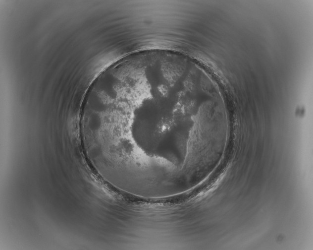 X0000097611121200803071444