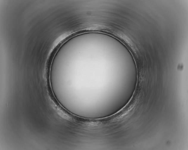 X0000097611122200803071444
