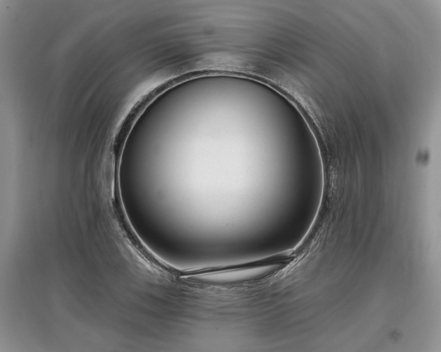 X0000097611123200803071444