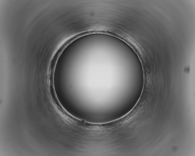 X0000097611124200803071444