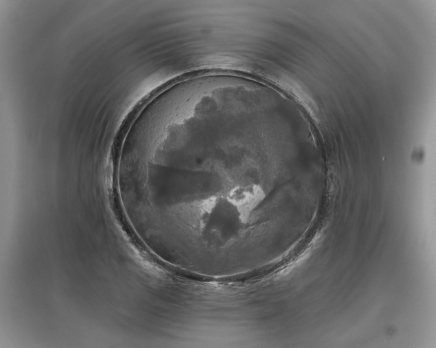 X0000097611125200803071444