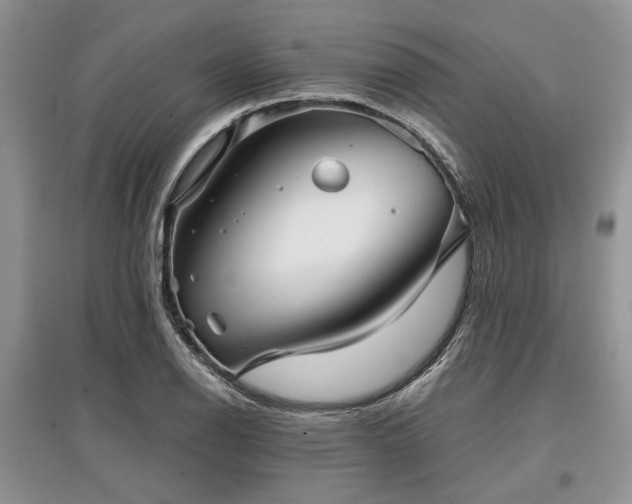 X0000097611126200803071444