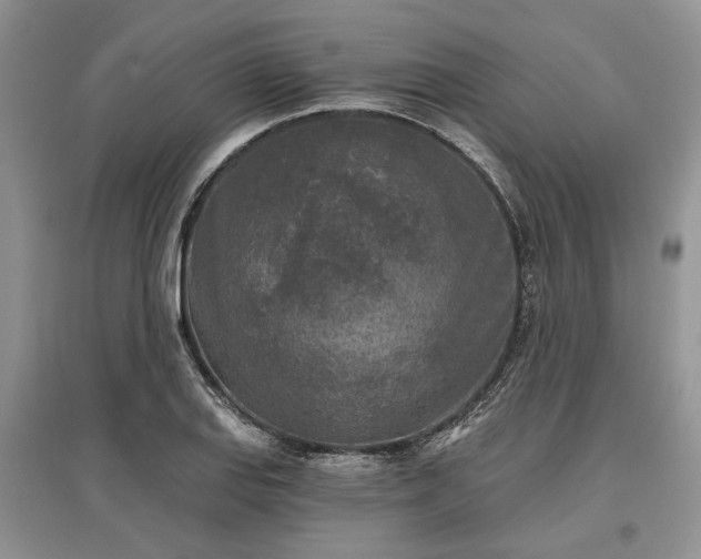 X0000097611127200803071444